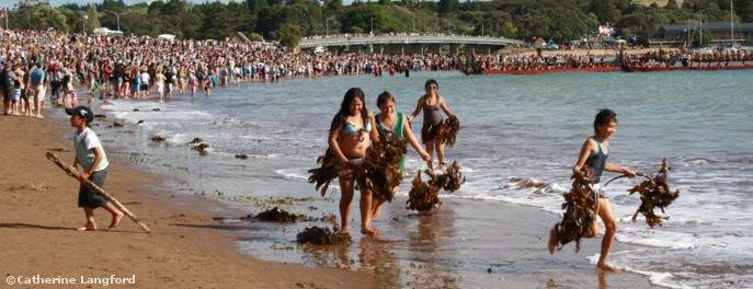  Local children make seaweed costumes while crowds gather to watch the wakas gather off Te Beach © Catherine Langford
