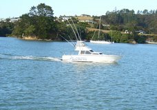 Target Fishing Charters :: click here for more information