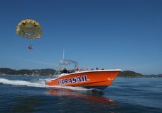 Flying Kiwi Parasail :: click here for more information