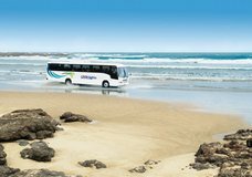 Fullers Great Sights Cape Reinga via 90 Mile Beach :: click here for more information