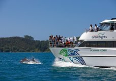 Fullers Great Sights Dolphin Cruise :: click here for more information
